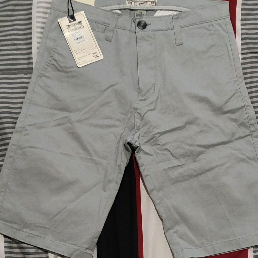 Alexander Julian Colours Shorts